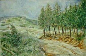 "Hogsback Winter"