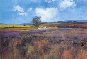 "Near Greyton"