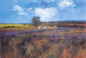 "Near Greyton"