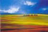 "Overberg Wheatfields"