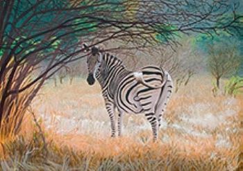 "Pregnant Zebra"