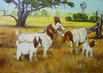 "Tranquil Goats"