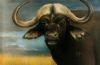 "Buffalo 2"