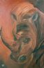 "Rhino in Motion"