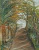 "The Avenue"