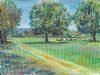 "Noordhoek with cows"