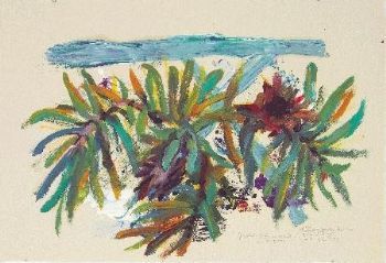 "Dead Protea Repens on Boyes Drive"