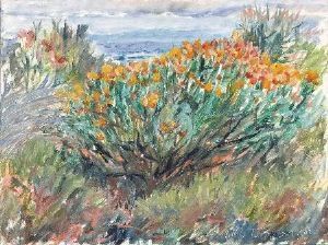 "Kirstenbosch and Hottentots Holland"