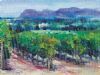 "Constantia vineyards and Muizenberg"