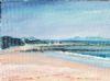 "Rooi Els and Palmiet River Estuary"
