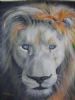 "White Lion"