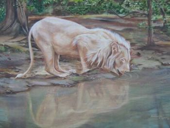 "Drinking Lion"