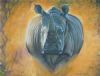 "Rhino"
