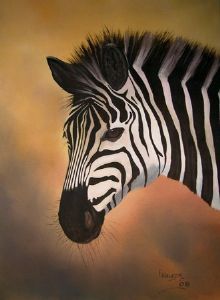 "Zebra"