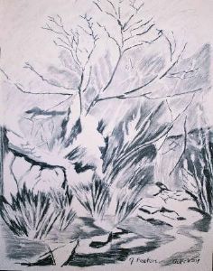 "Acacia Tree 2"
