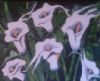 "Lilies In The Wind"