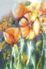 "Orange Poppies"