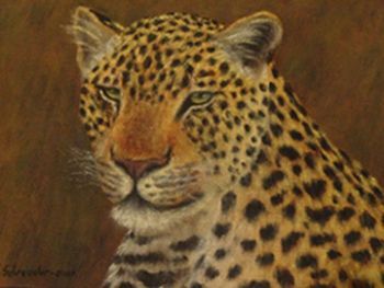 "Leopard"