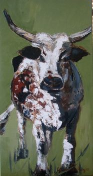 "African Nguni Cow"