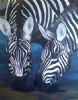 "Two Zebra"