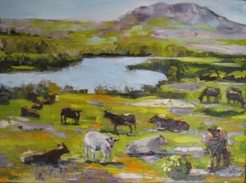 "Overberg Tranquility"