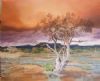 "Karoo Landscape, Shepherd's Tree"