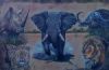 "Africa's Big Five"
