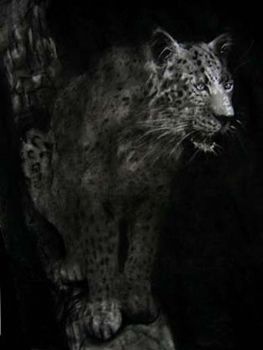 "leopard"