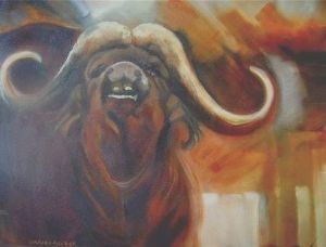 "African Buffalo"