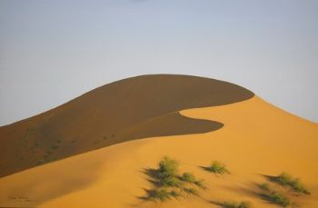 "Sossusvlei Dunes"