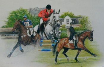 "Eventing at Vergelegen Estate"