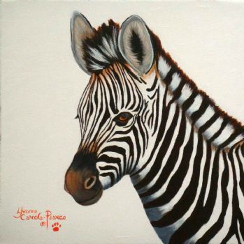 "Young Zebra"