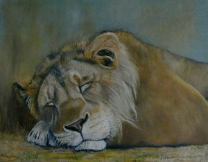 "Sleeping lion"