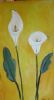 "White Arum Lilies"