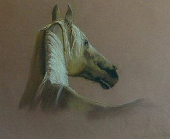 "Palomino"