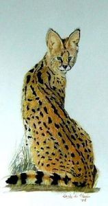 "Serval"