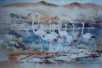 "Flamingo"