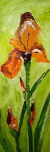 "Orange Fewer - Iris"