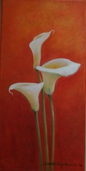 "Arum lilies"