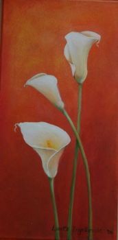 "Arum lillies 2"