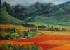 "Cape vineyard Hex river 2"