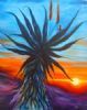 "aloe sunrise"