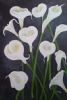 "Arum Lilies"