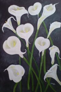 "Arum Lilies"