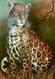 "Leopard, Sitting "