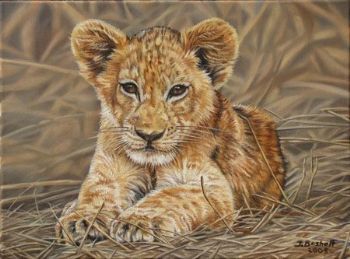 "Lion Cub"