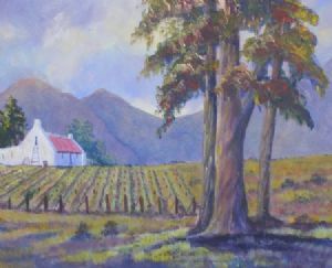 "Cape Vineyard"