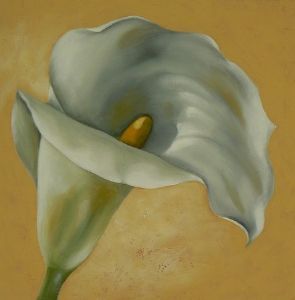 "Arum on Cream 1"