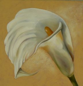 "Arum on cream 2"