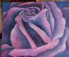"Purple Rose"